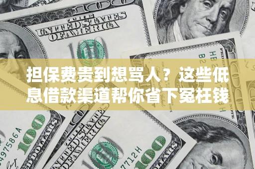 济南担保费贵到想骂人？这些低息借款渠道帮你省下冤枉钱