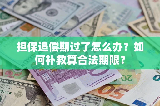 济南担保追偿期过了怎么办？如何补救算合法期限？
