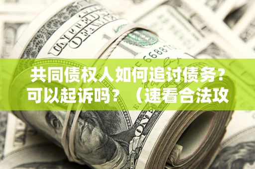 济南共同债权人如何追讨债务？可以起诉吗？（速看合法攻略）