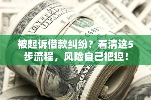 济南被起诉借款纠纷？看清这5步流程，风险自己把控！