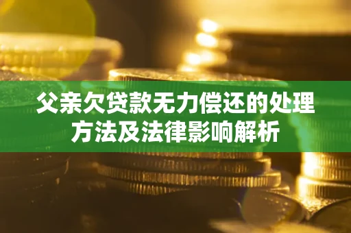 济南父亲欠贷款无力偿还的处理方法及法律影响解析
