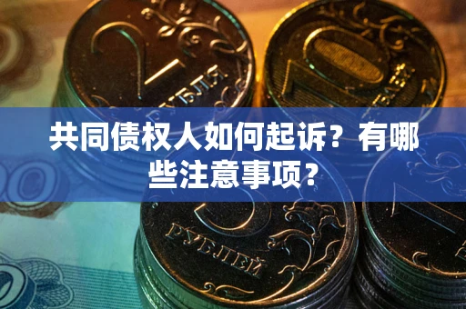 济南共同债权人如何起诉？有哪些注意事项？